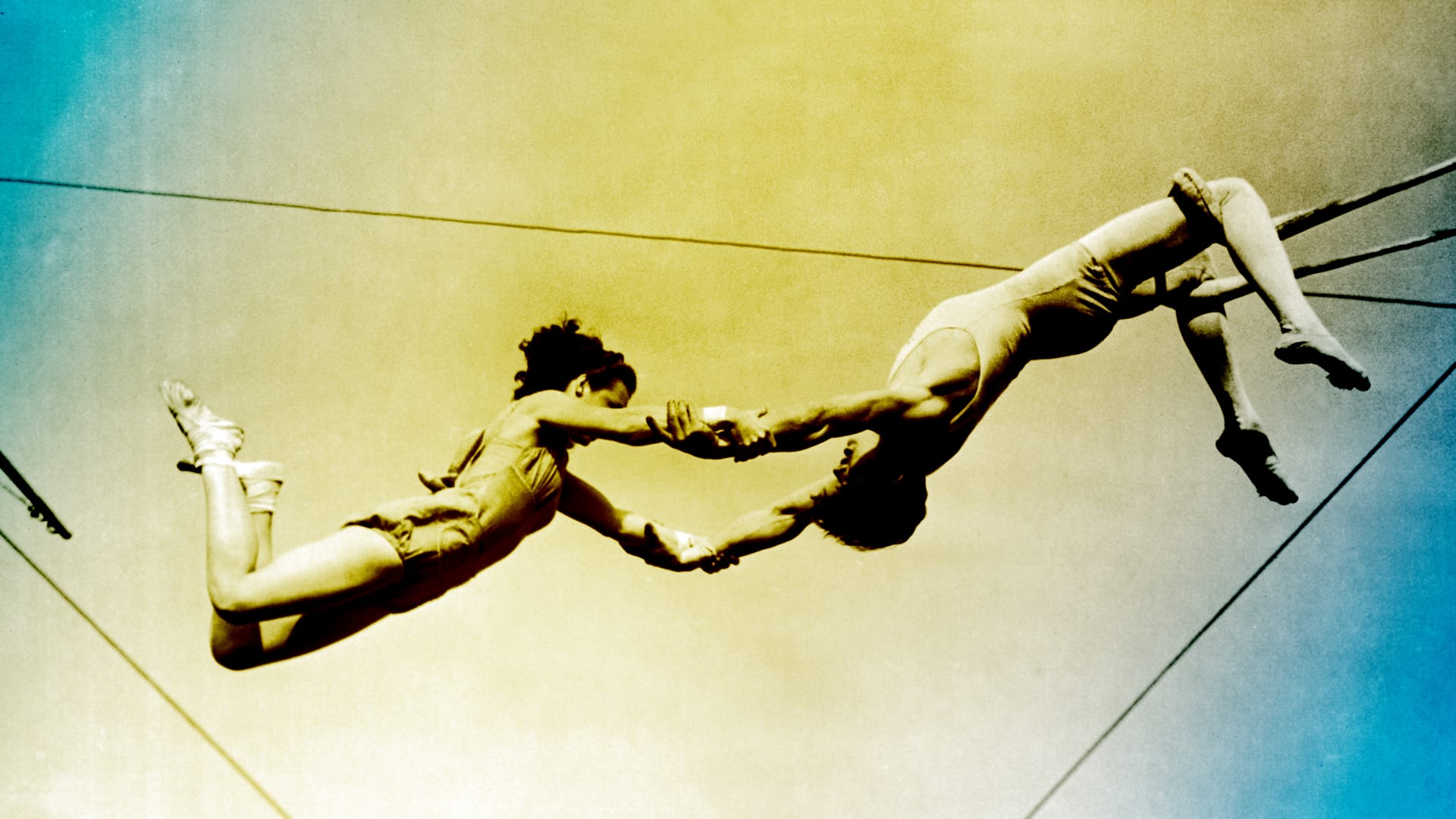 Building and calibrating trust in AI